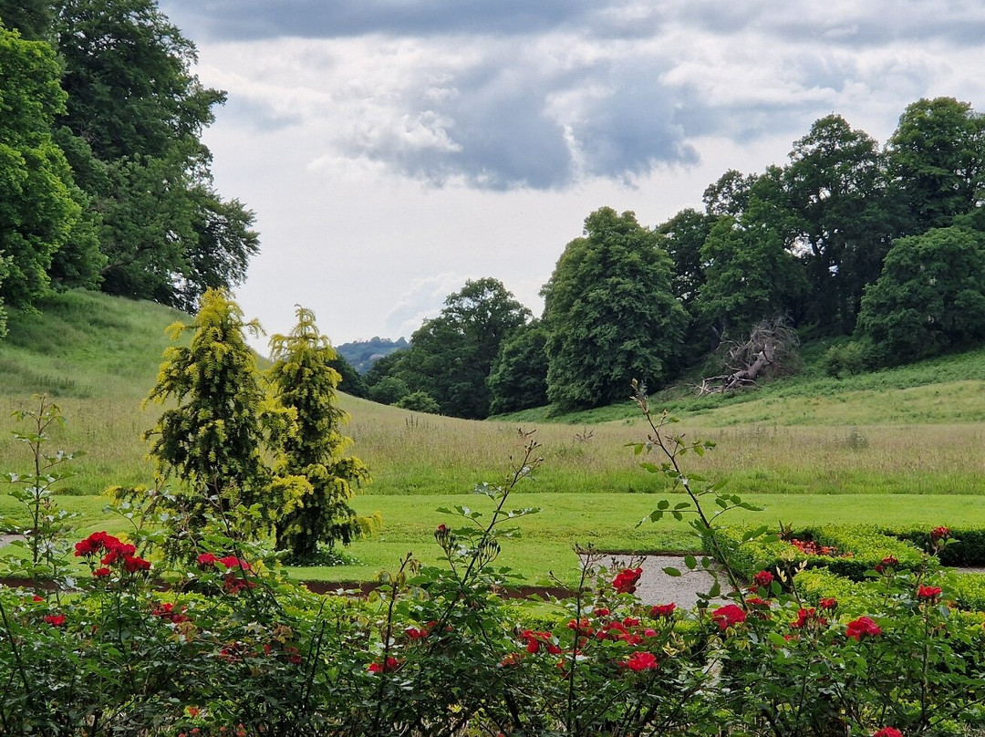 Dinefwr Estate景点图片