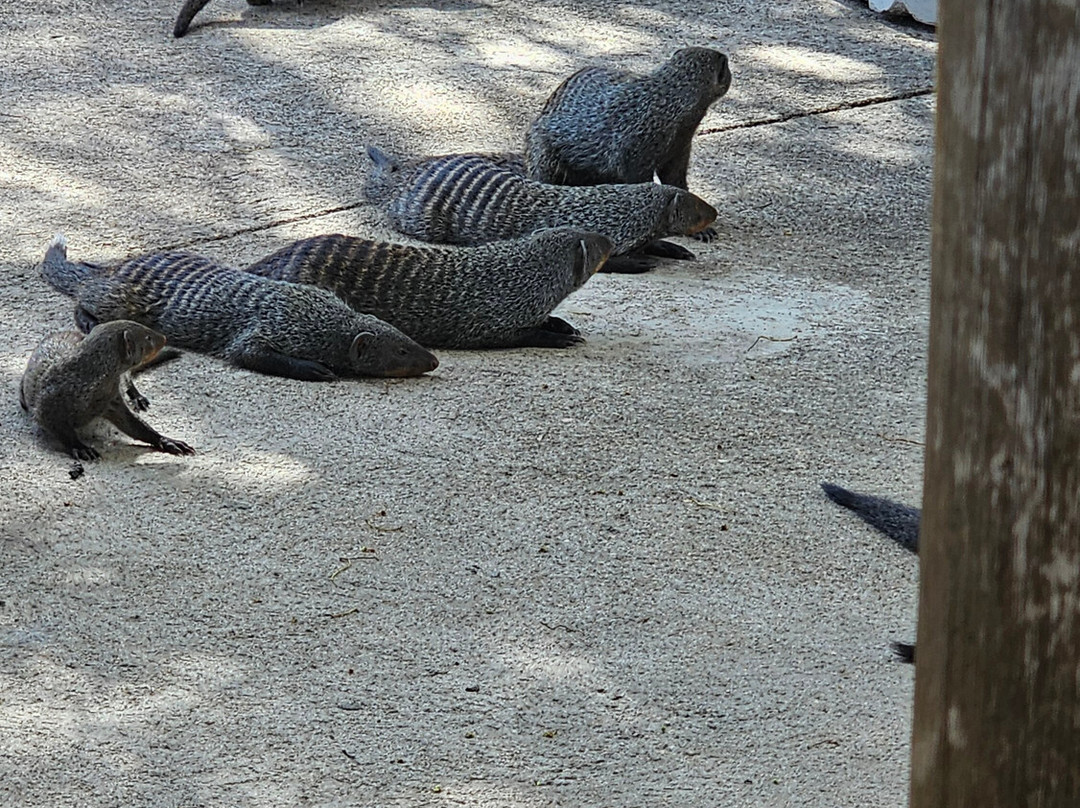 African Travel Consultants-Sabie Park必去景点