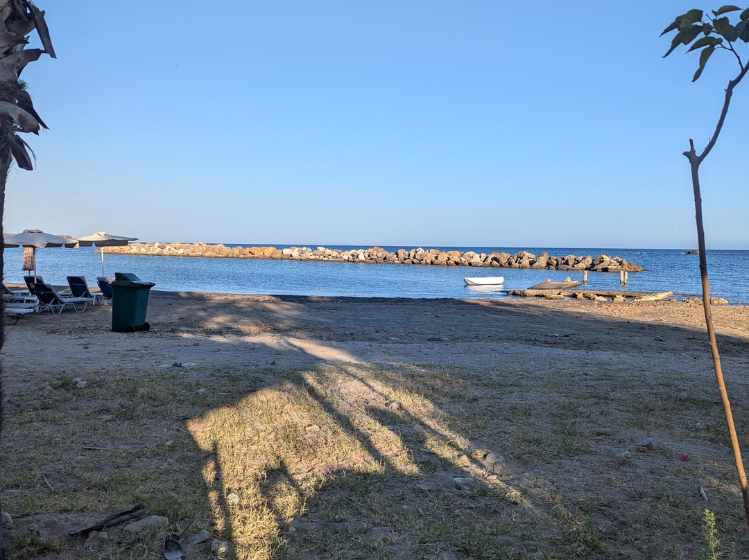 Morning Star Katelios