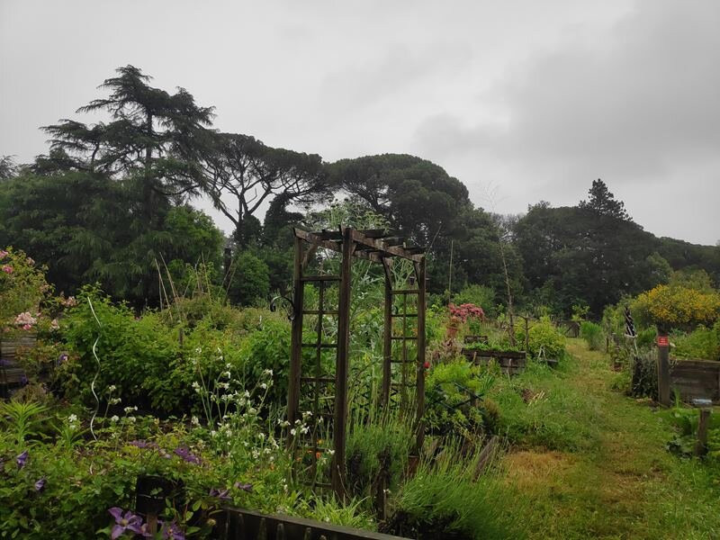 Parc des Oblates-南特必去景点