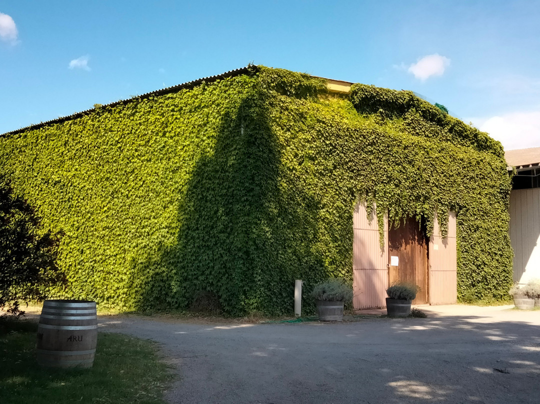 Cantina Aru-Iglesias必去景点