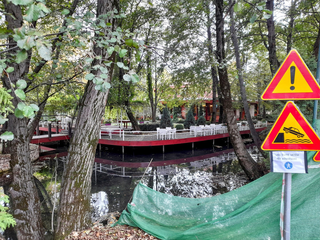 Driloni National Park-Pogradec必去景点