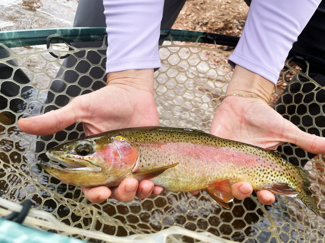 5280 Angler-阿瓦达必去景点