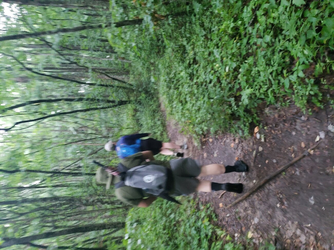 Walls of Jericho-Estillfork必去景点