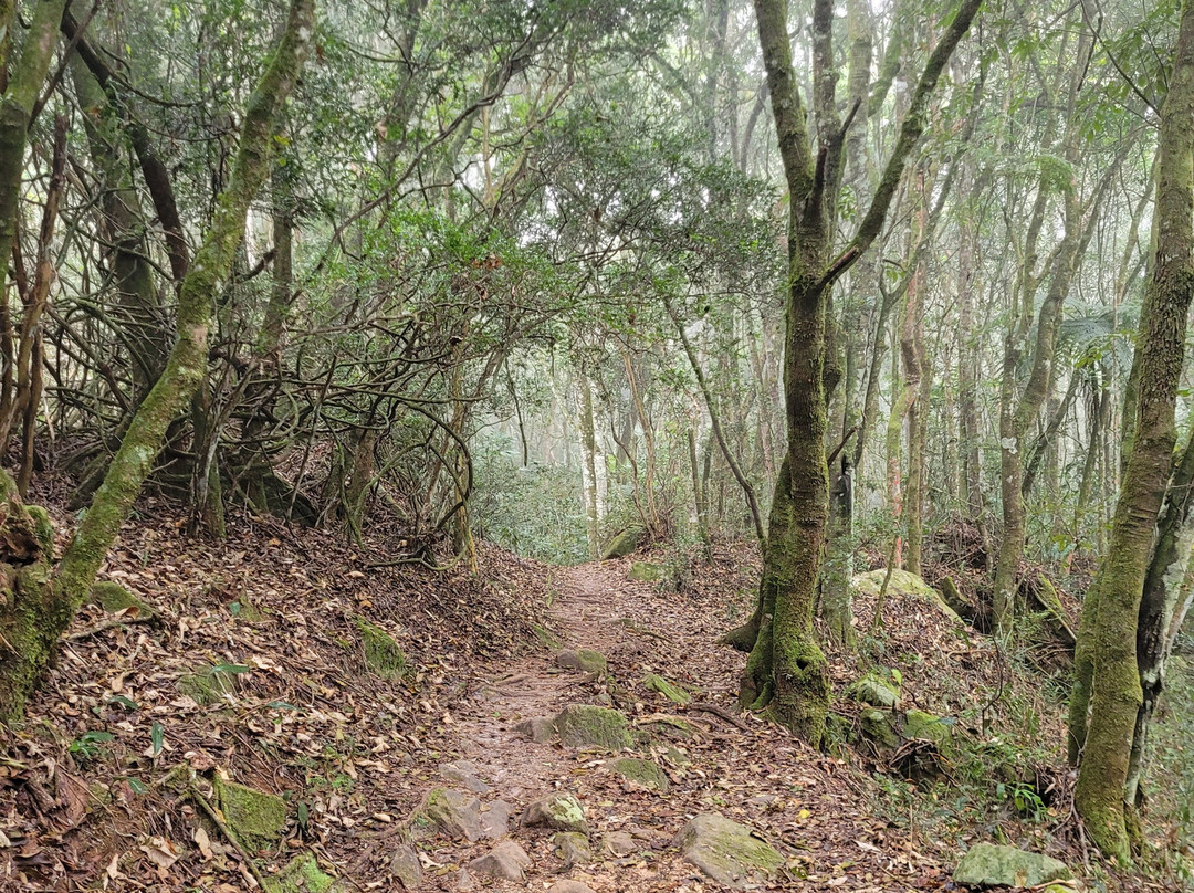Sao Jose Ridge景点图片
