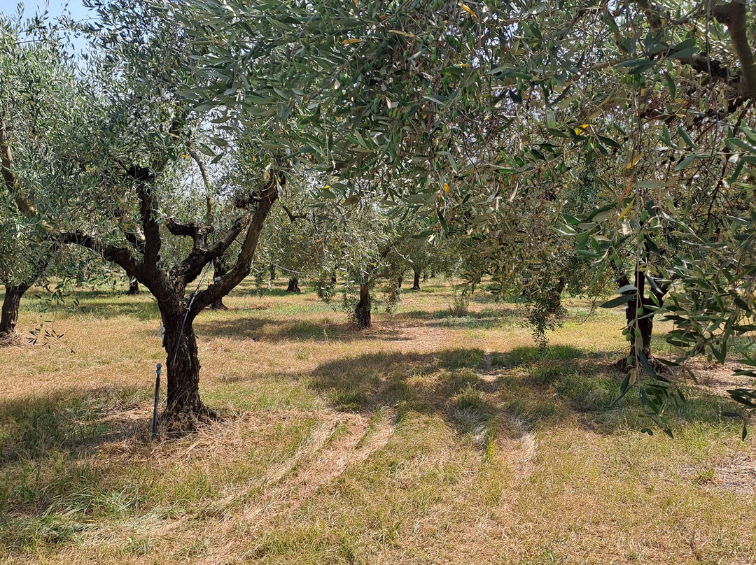 Casa di Baal-Montecorvino Rovella必去景点