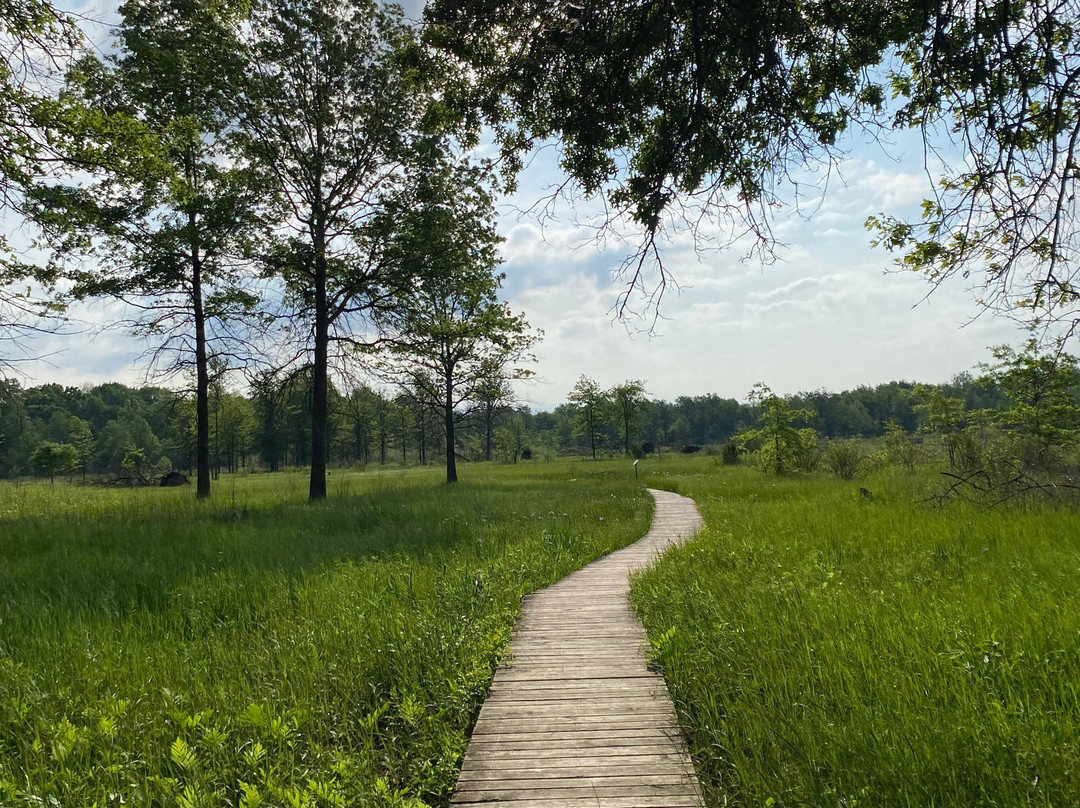 Irwin Prairie State Nature Preserve-托莱多必去景点