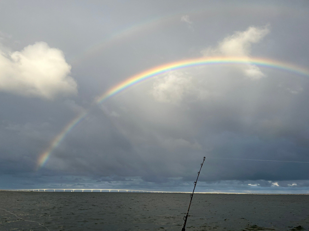 Sinbad Sportfishing Charters-纳格斯海德必去景点