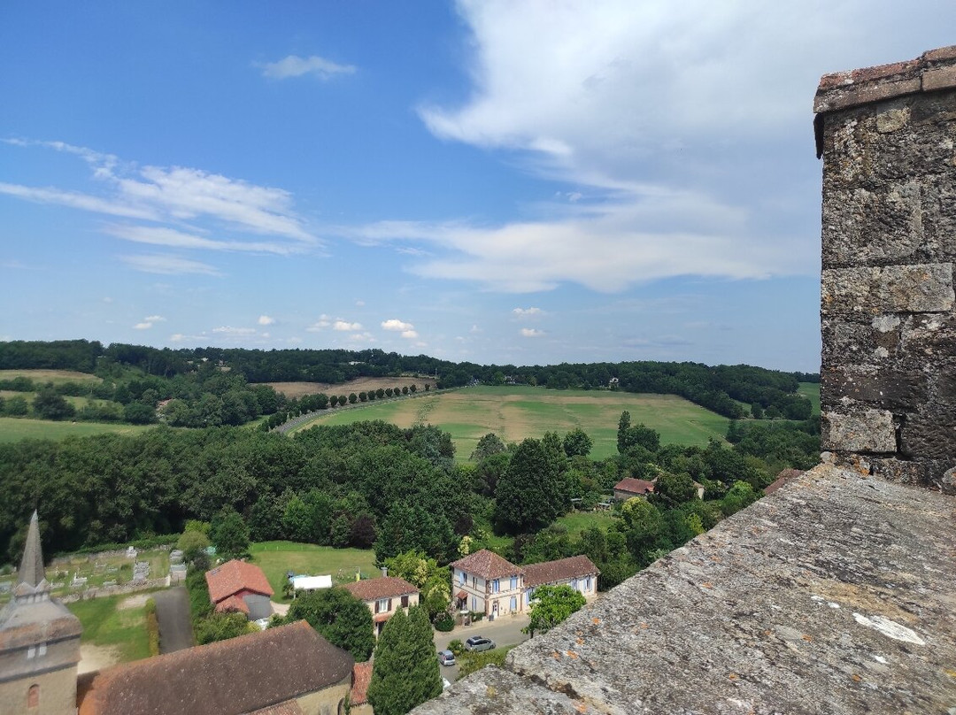 Tour De Termes D'armagnac景点图片