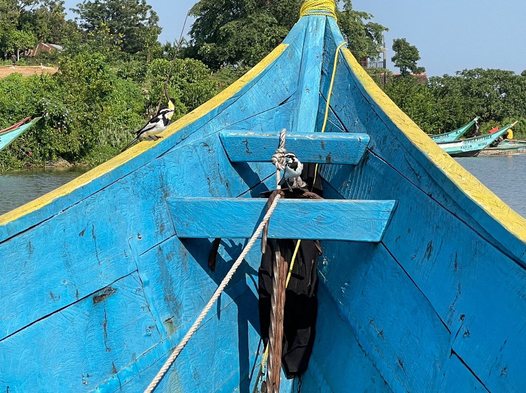 Oluokos Signature-基苏木必去景点