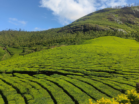 Neo Travel Maart - Taxi Service in Cochin Kerala | Kerala Tour Packages-柯钦必去景点