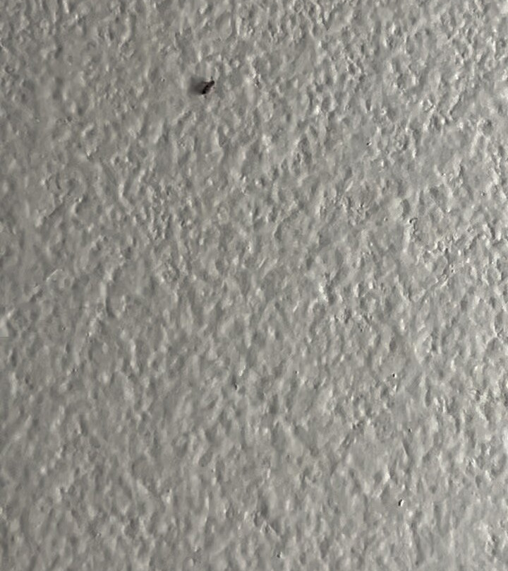 Best Western Bronco Inn主图