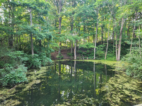 Casey Park-Ontario必去景点
