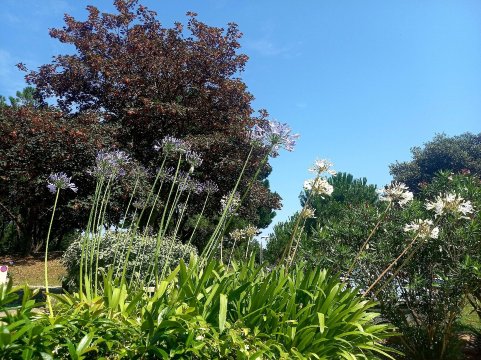 Valdys Thalasso & Spa - les Pins 酒店-旅行者