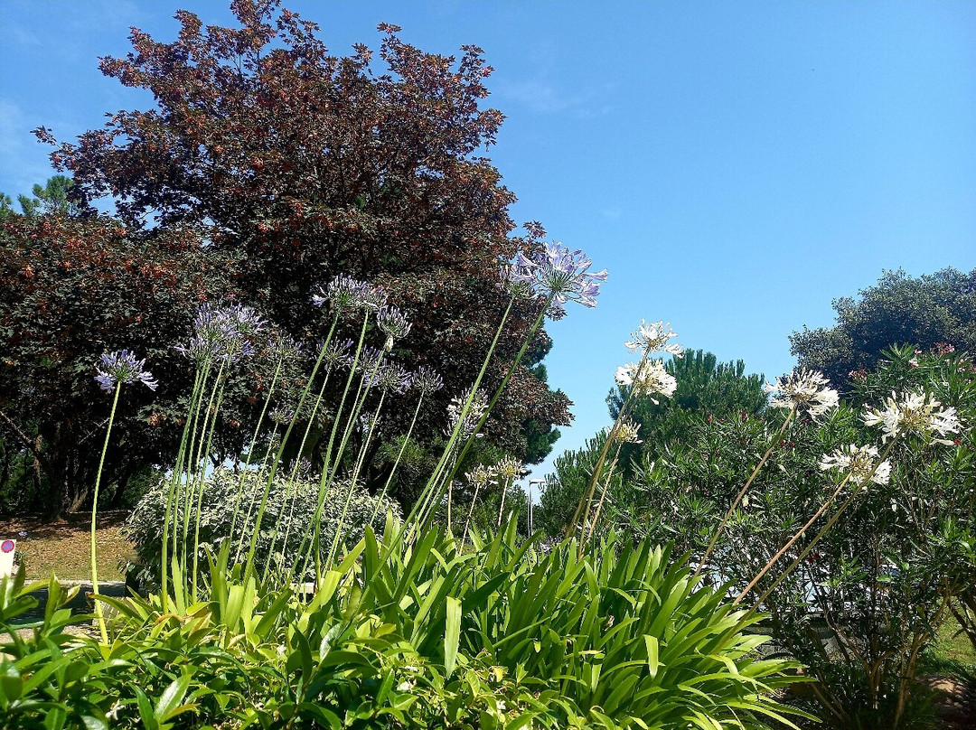 Valdys Thalasso & Spa - les Pins 酒店主图