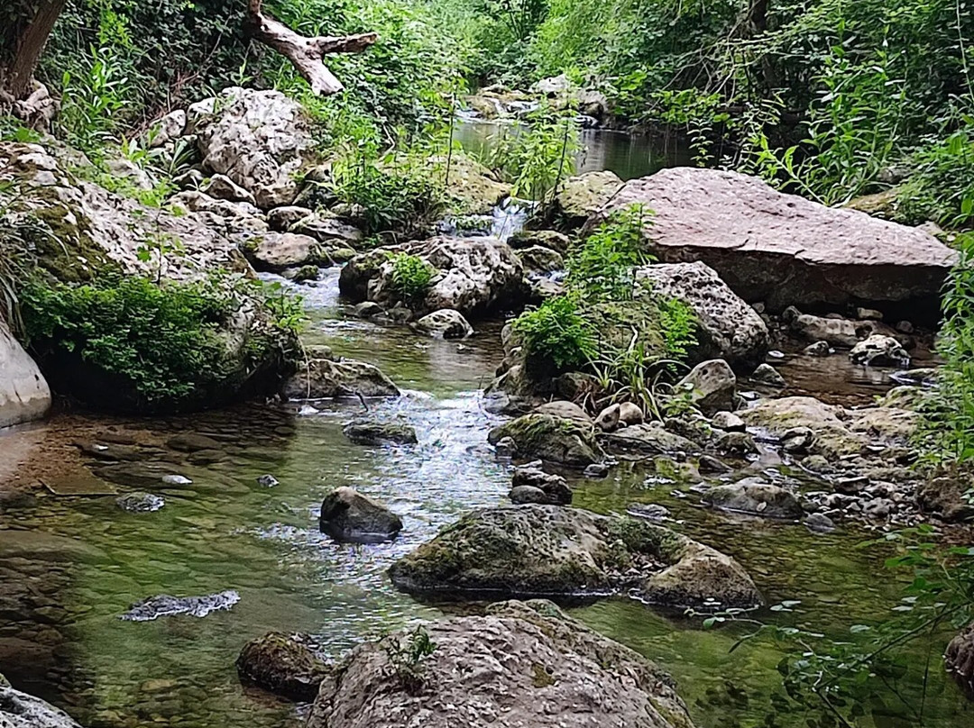 Gorges de Pennafort景点图片