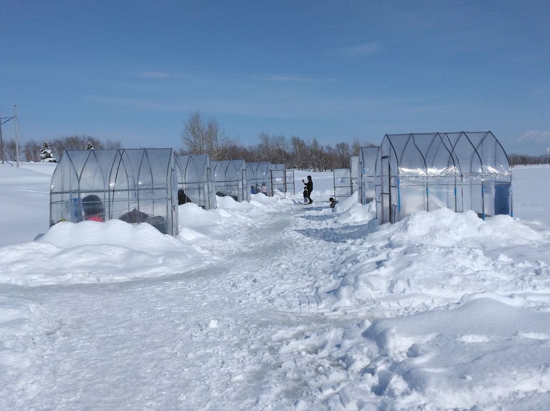 Shinshinotsu Onsen Tappu no Yu主图
