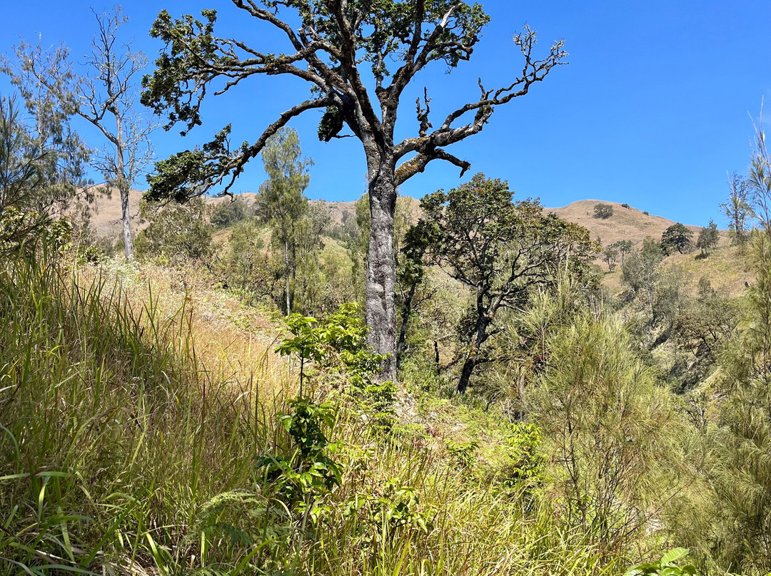 Lombok Green Nature-龙目岛必去景点