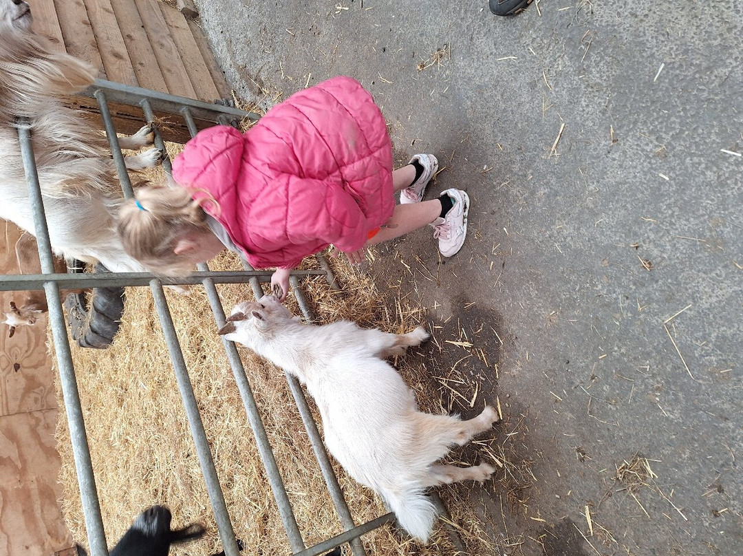Willhome Farm Barn景点图片
