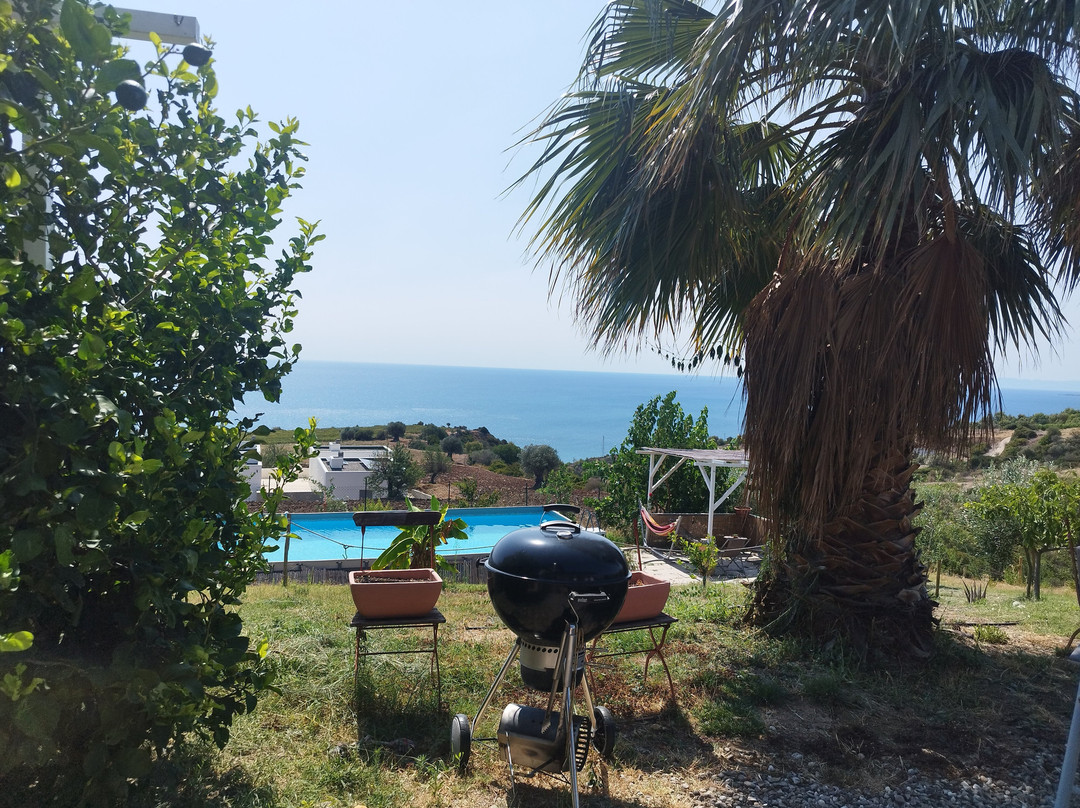 Bed & Breakfast Villa Sveva主图