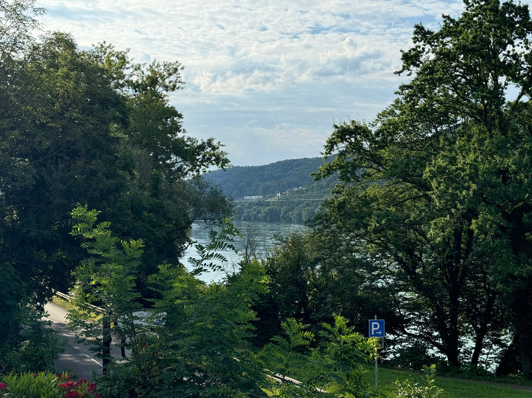 Hotel am Hochrhein主图