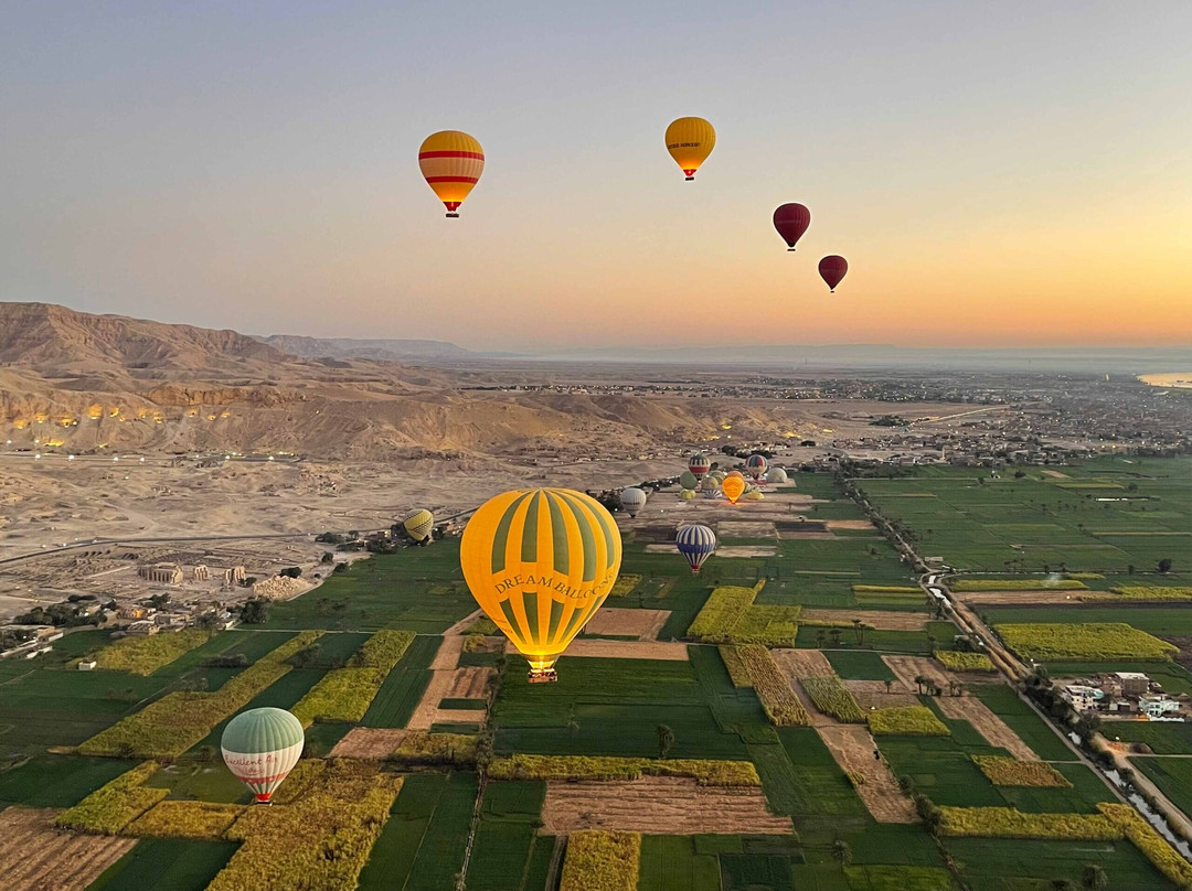 Hurghada Online Tours