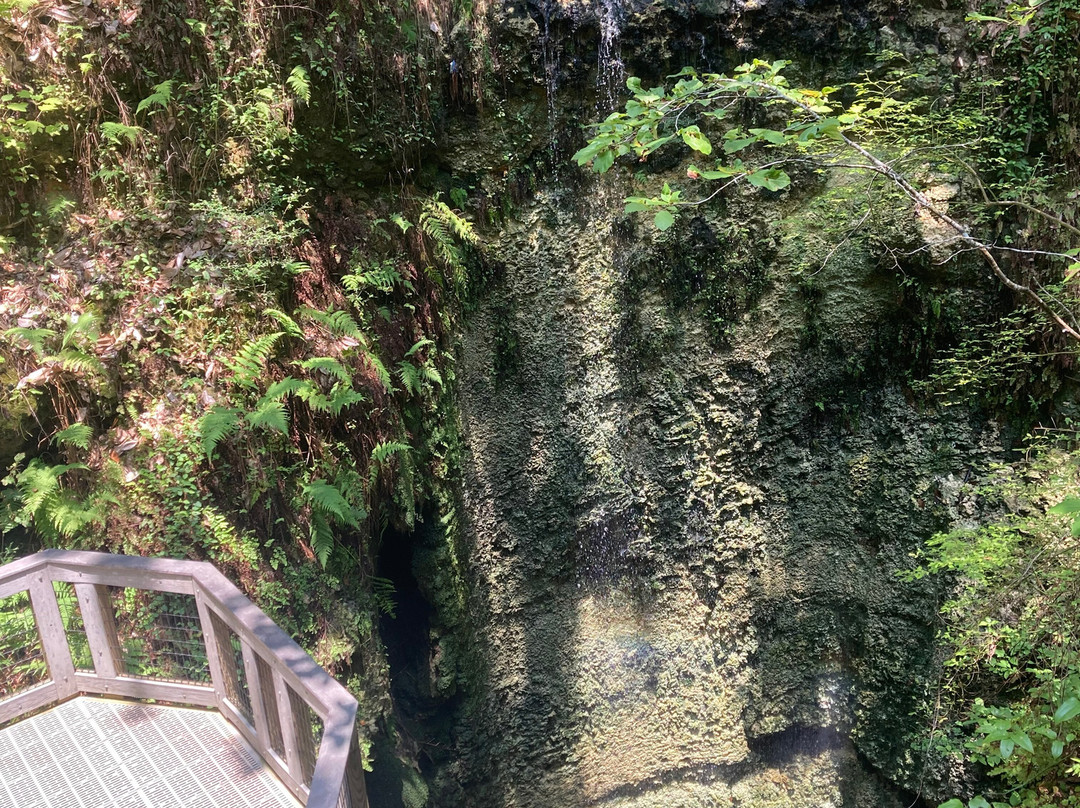 Falling Waters State Park景点图片