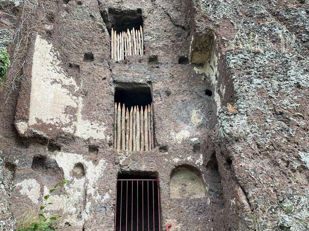 Site Troglodyte de Jonas - Forteresse médiévale et chapelle romane景点图片