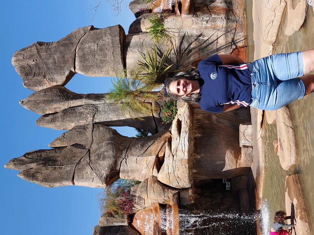 Monumento às Águas-Caldas Novas必去景点