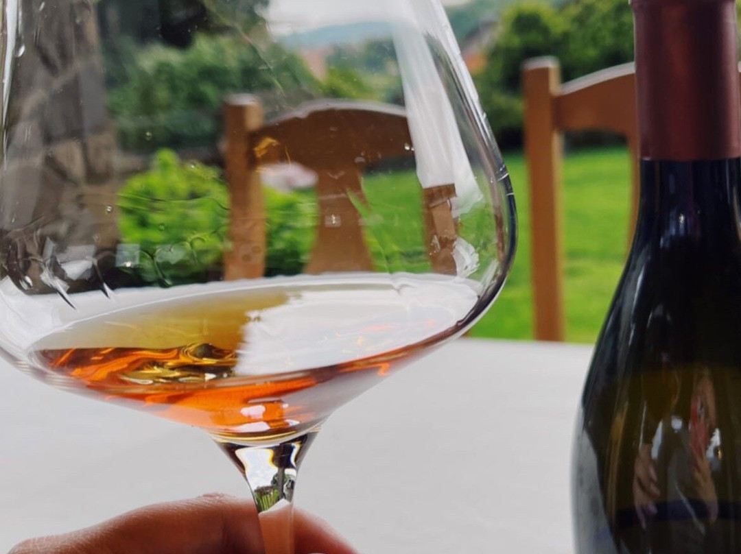 Reja Vino