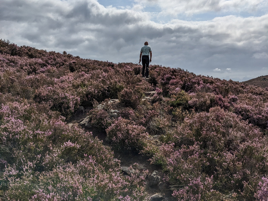 The Drake Stone-Harbottle必去景点