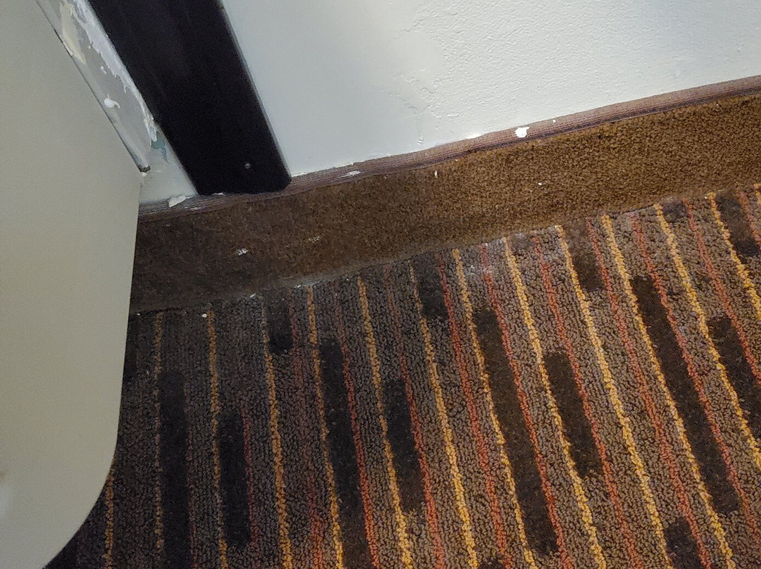 Thunderbird Lodge主图