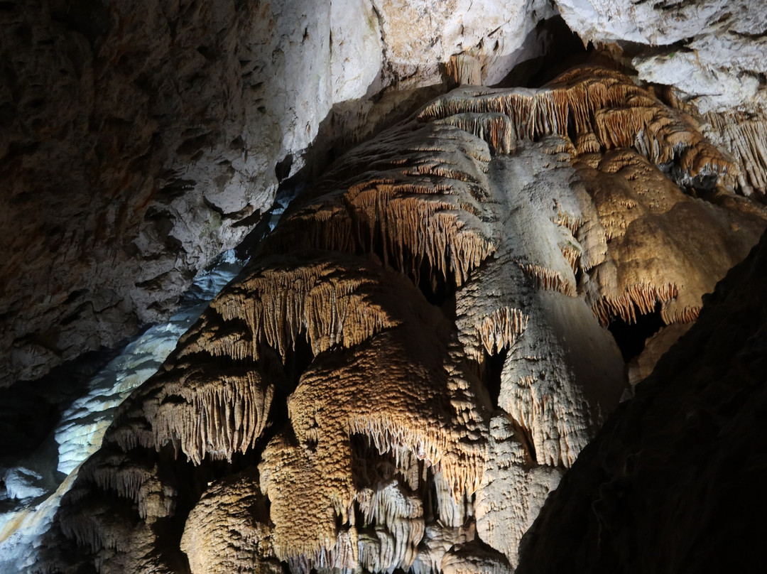 Demanovska Cave of Liberty景点图片