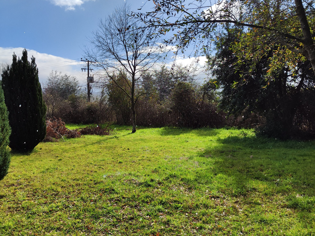 Plaza Anibal Pinto-特木科必去景点