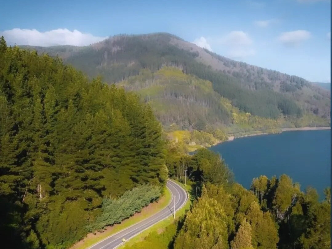 Lago Lanalhue-Contulmo必去景点
