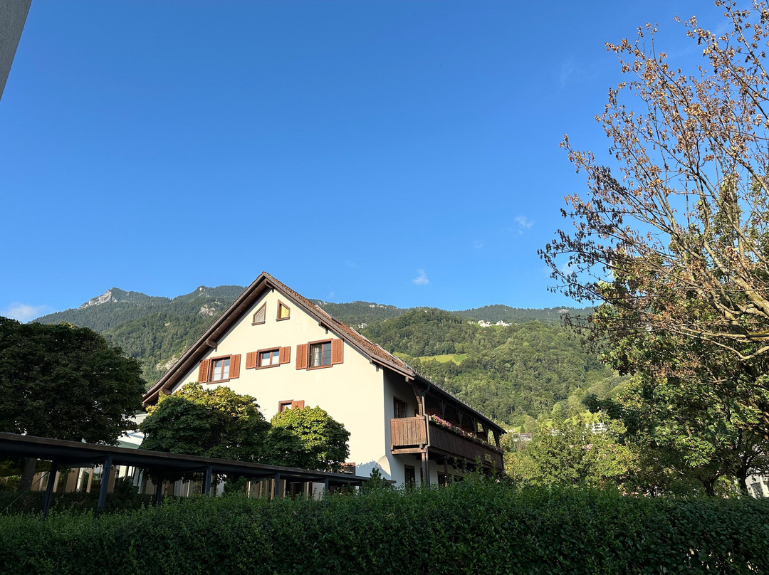 Hotel Schatzmann主图