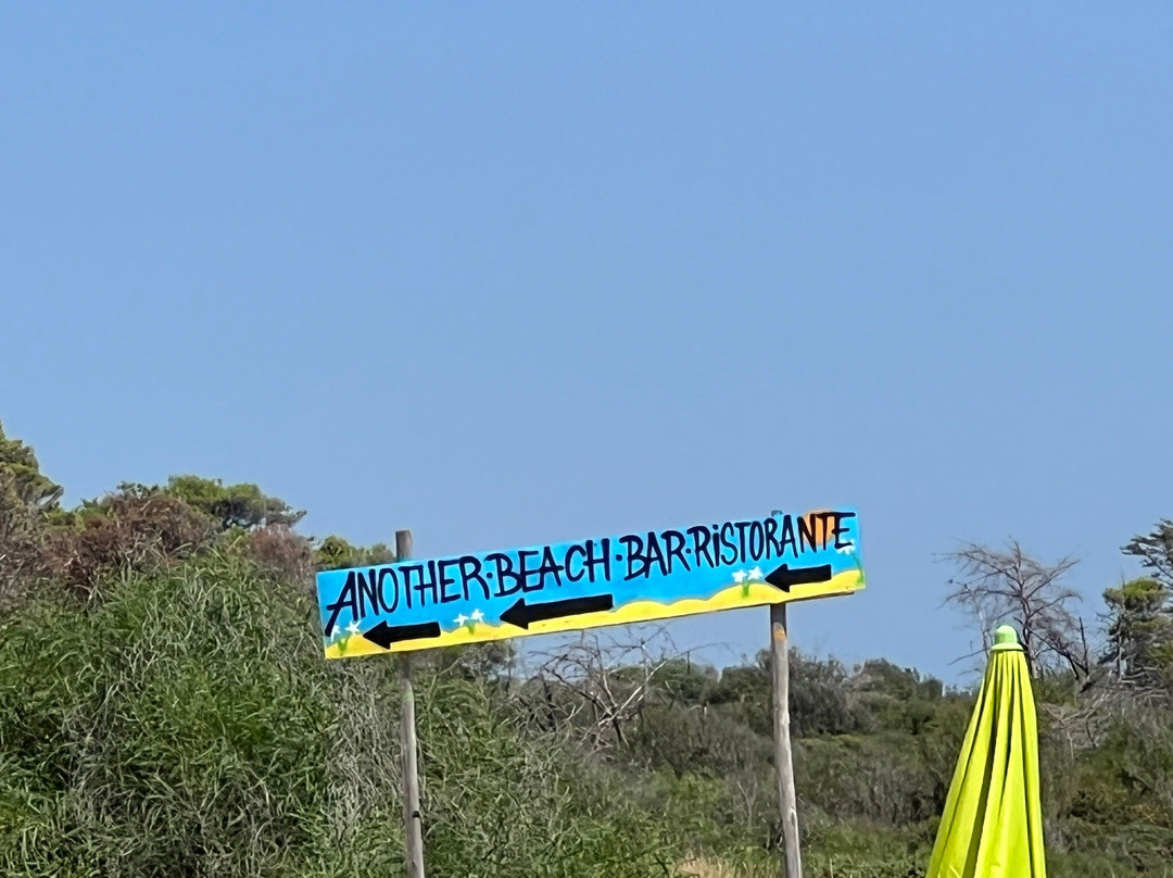 Spiaggia dei Gigli-Isola di Capo Rizzuto必去景点