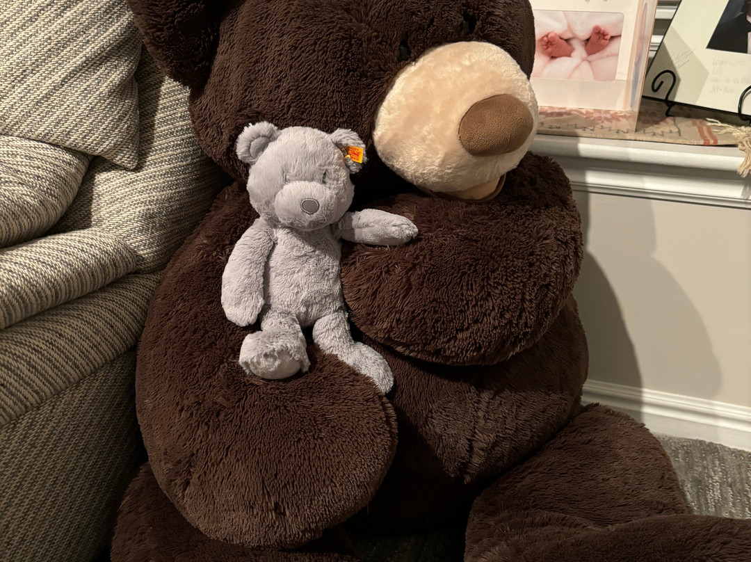 Swiss Mountain Motel主图