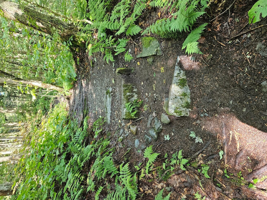 Sterling Falls Gorge-斯托必去景点