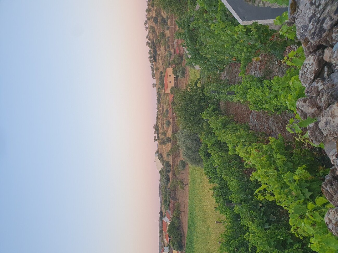 Casa dos Primos主图