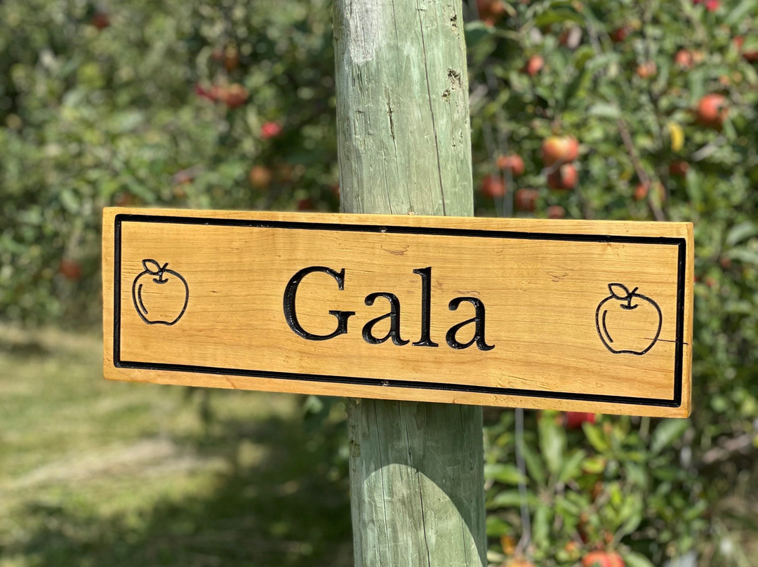 The Property Farms and McCallum's Orchard & Cider Mill-Jeddo必去景点