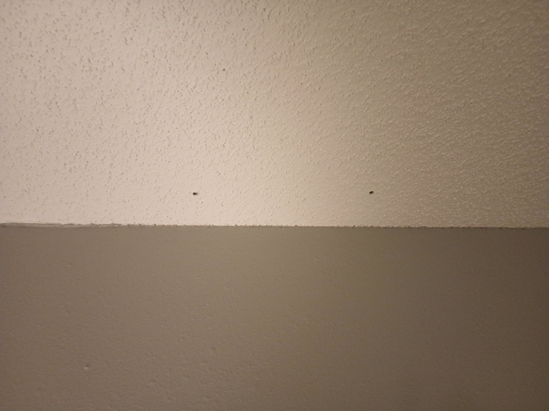 Country Inn & Suites by Radisson, Brookings, SD主图