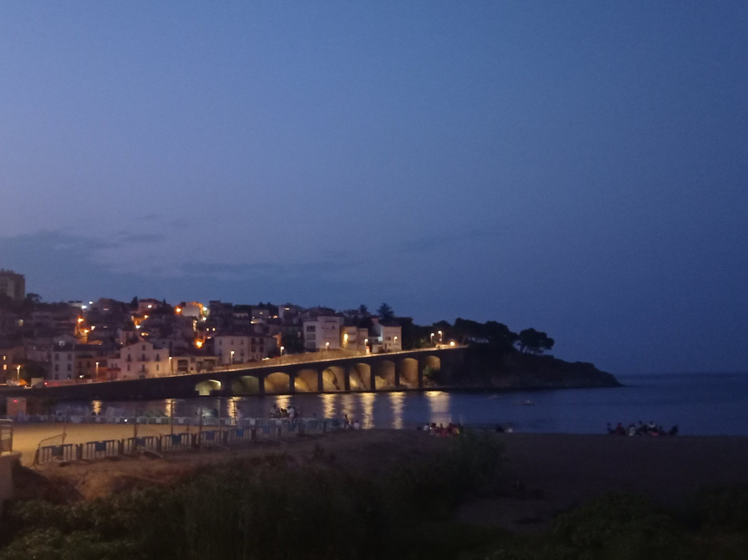 Office De Tourisme De Banyuls-sur-mer景点图片