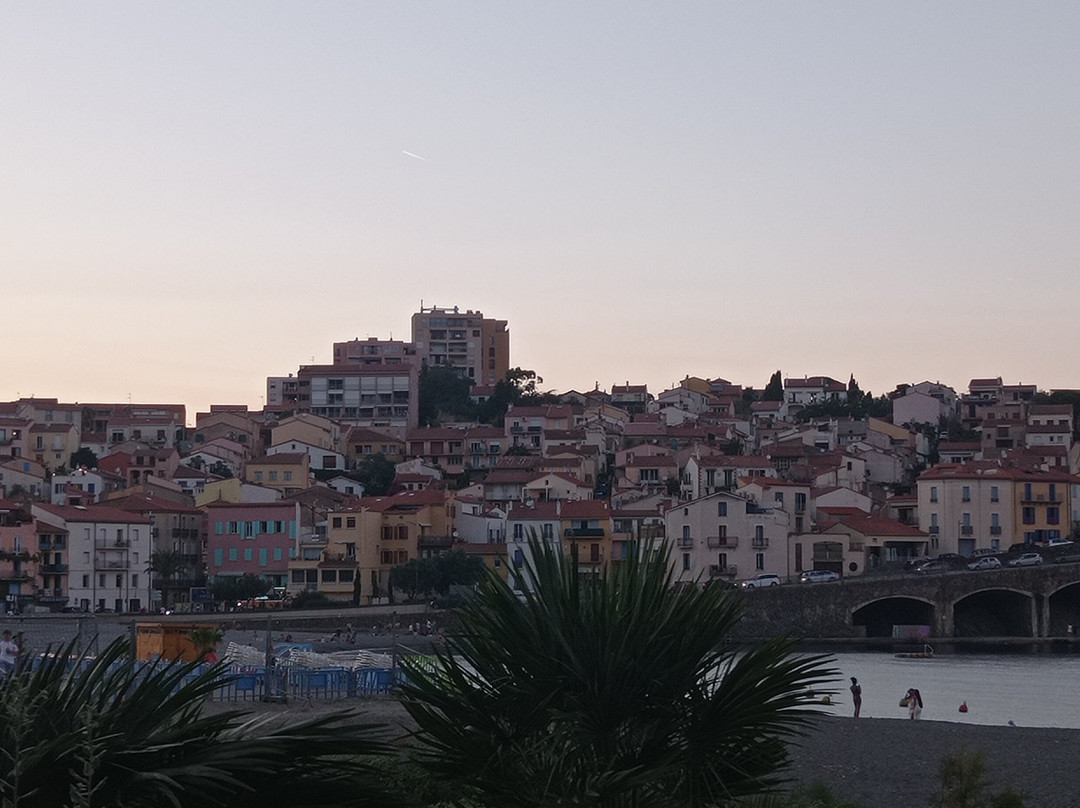 Office De Tourisme De Banyuls-sur-mer景点图片