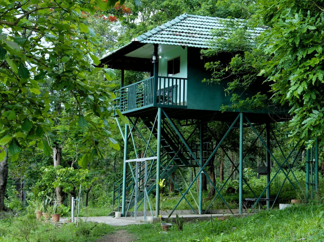 Vanatheeram Resorts Wayanad