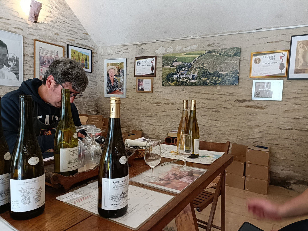Domaine Talliandier景点图片