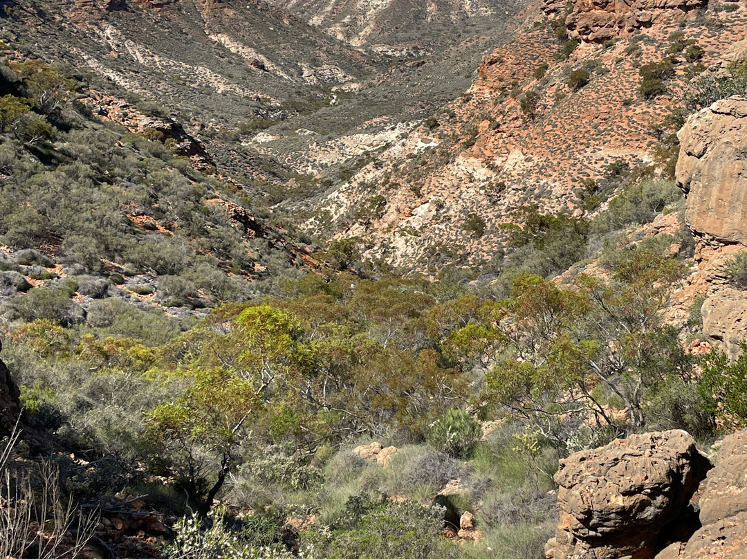 Charles Knife Canyon-埃克斯茅斯必去景点