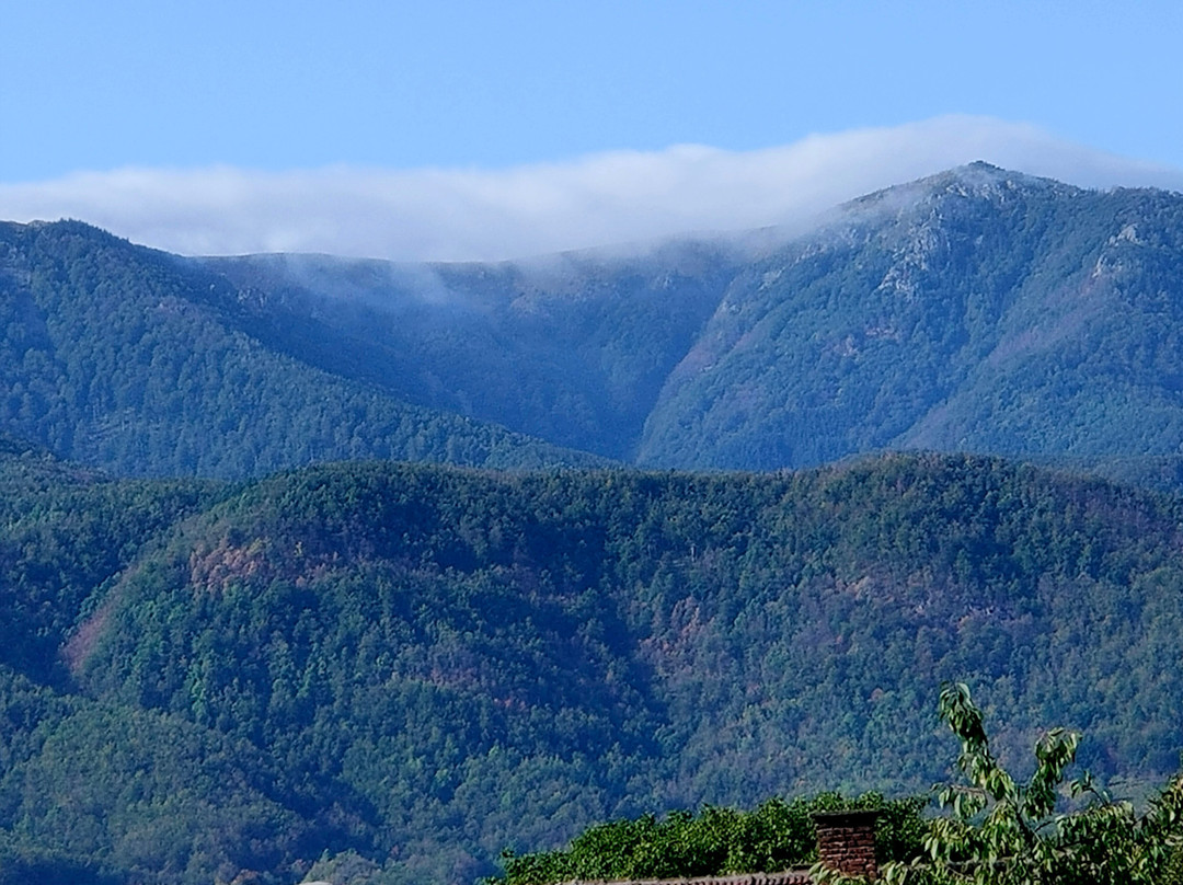 Da Vinci Guesthouse主图