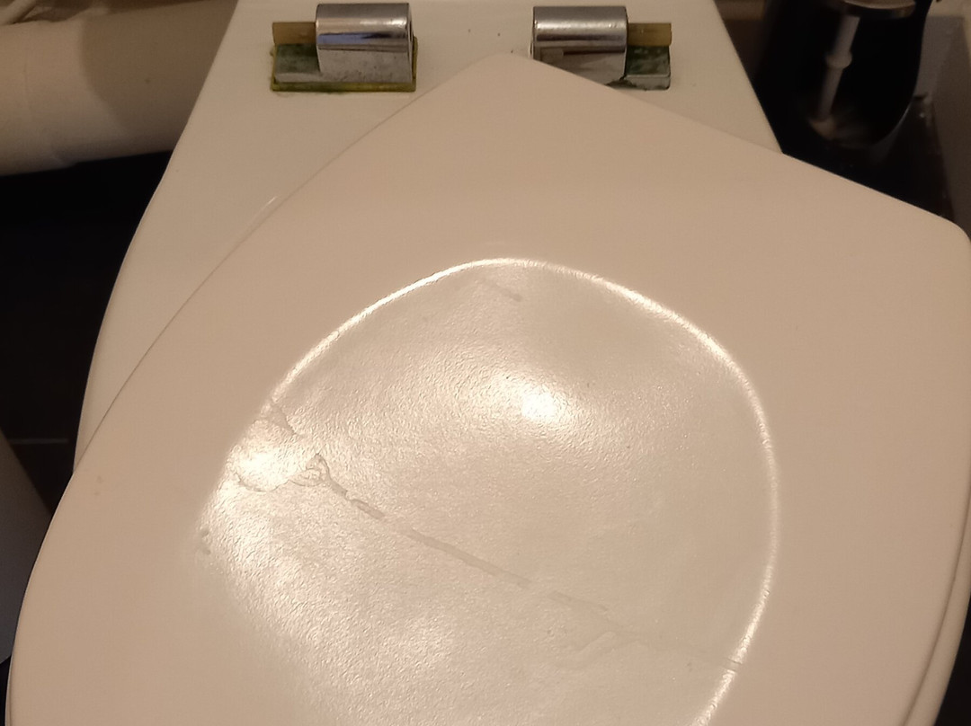 亚历克斯酒店主图