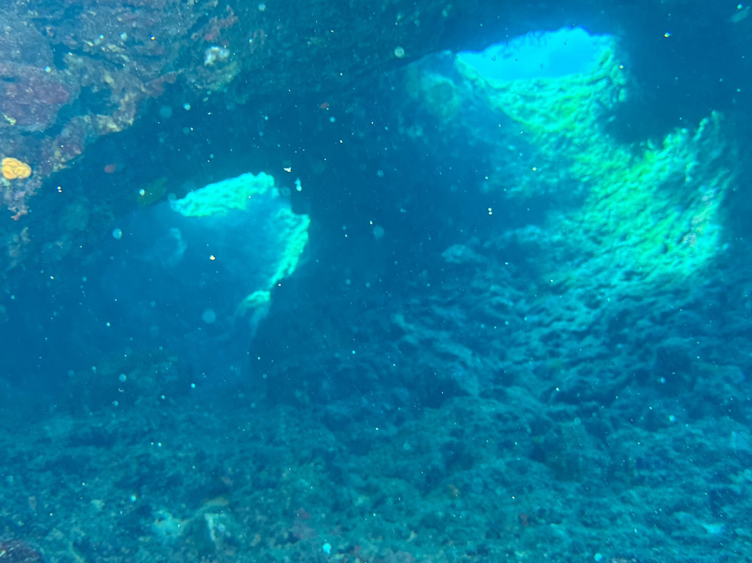 Diving Center Turtle Beach景点图片